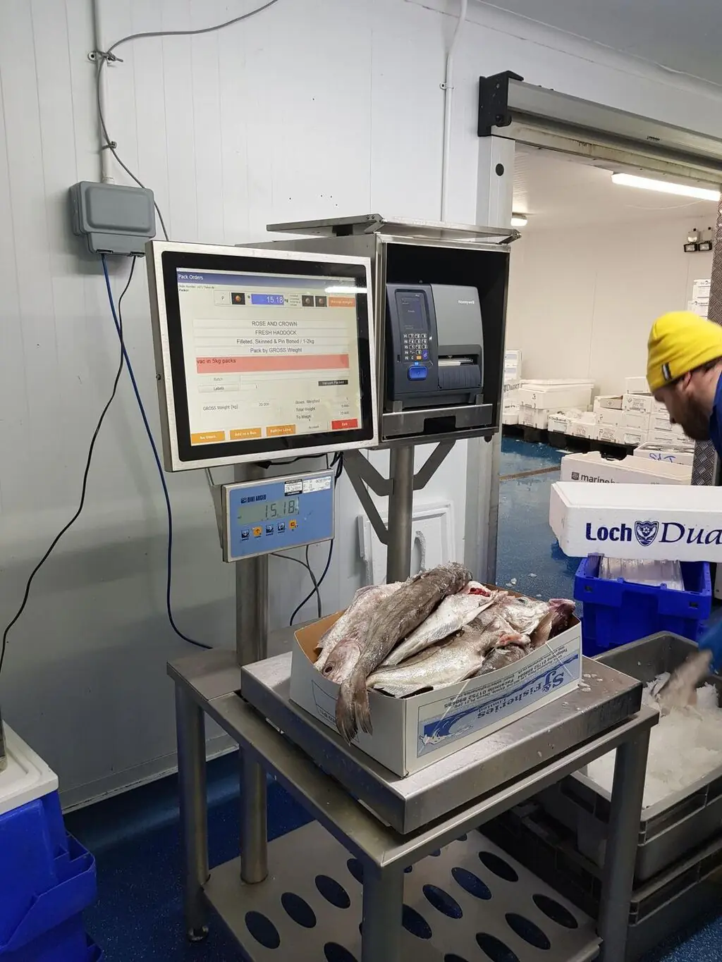 An Aquarius packing station weighing and labelling a box of fish